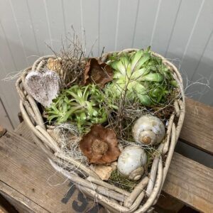 Hartvormige Mand met Vetplanten en Natuurelementen